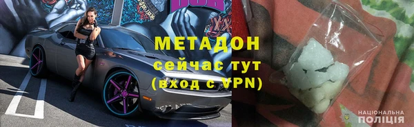 шишки Абаза