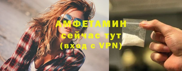 круглые Пересвет