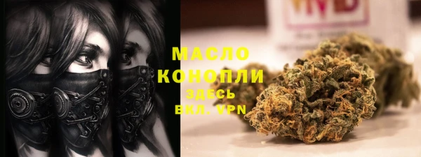шишки Абаза