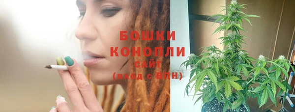 шишки Абаза