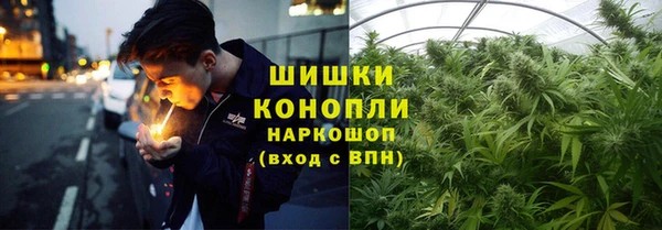 шишки Абаза