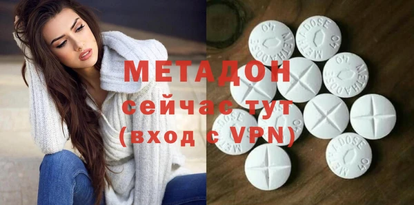 шишки Абаза