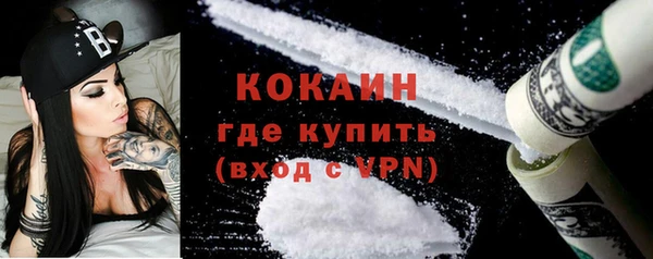 круглые Пересвет